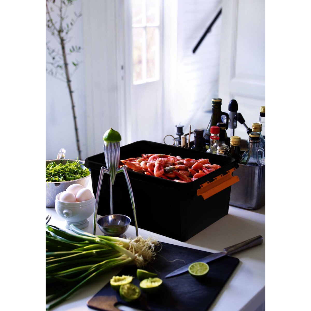 Box "Robust" 15 L, 40x30x19cm (1)