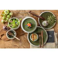 FiveStars Porzellan Serie "Samoa" grün Teller flach Ø23cm (2)