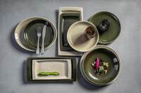 Porzellanserie "Shine" Jungle Platte flach oval, 31x25,5cm (2)