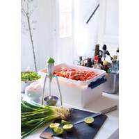 Box "Robust" 45L, 59x39x34cm (2)