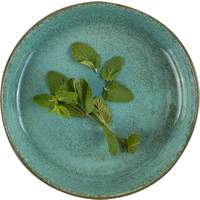 FiveStars Porzellanserie "Spices" Mint Schale Ø19cm (2)