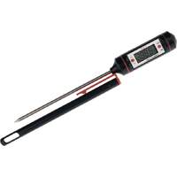 Digitales Einstech-Thermometer (1)