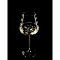 Glassserie "Etoilé" Sektglas 480ml (1)