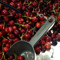 Spiralkette mit 2 Ringen (1)