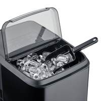 Eiswürfelbereiter "Clear Ice Advanced" (3)