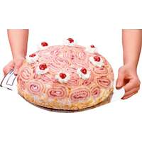 Kuchen- und Pizzaheber (3)