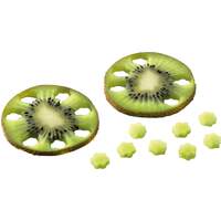 Konfetti Ausstecher (2)