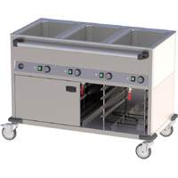 Fahrbares Wasserbad mit Wärmeschrank 3 Becken (1)